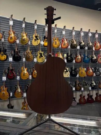 Taylor Guitars - 314CE-SE VST 2